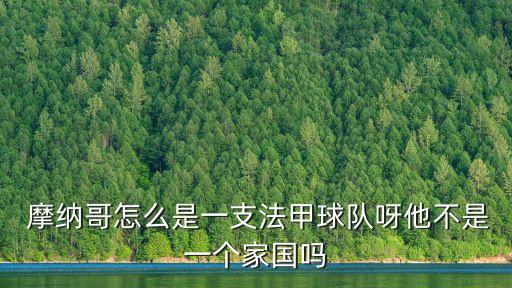  摩納哥怎么是一支法甲球隊(duì)呀他不是一個(gè)家國(guó)嗎