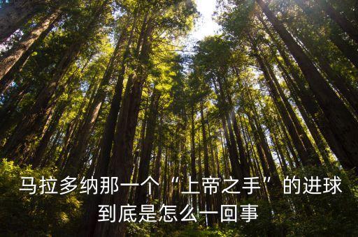  馬拉多納那一個“上帝之手”的進(jìn)球到底是怎么一回事