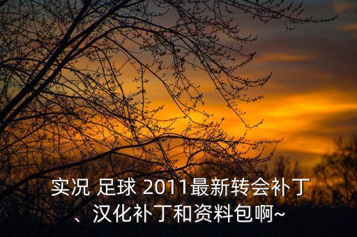  實況 足球 2011最新轉(zhuǎn)會補丁、漢化補丁和資料包啊~