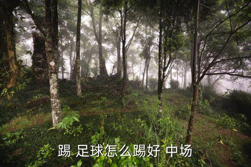 踢 足球怎么踢好 中場(chǎng)