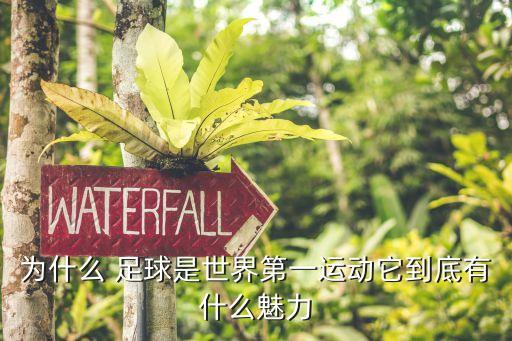 為什么 足球是世界第一運動它到底有什么魅力