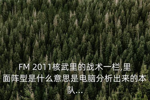 FM 2011核武里的戰(zhàn)術一欄,里面陣型是什么意思是電腦分析出來的本隊...