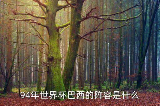 實況足球2013阿德里安阿比奧特