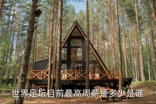 全球十大足球工資,全球工資最高的足球運動員