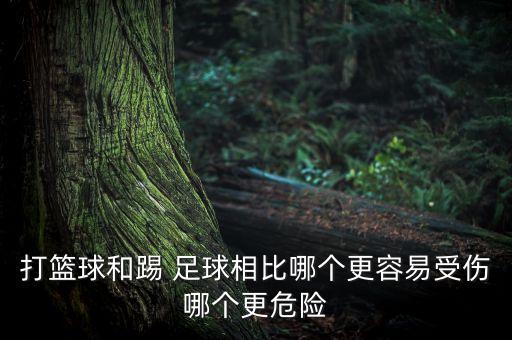 打籃球和踢 足球相比哪個更容易受傷哪個更危險