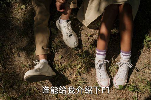 誰(shuí)能給我介紹下F1