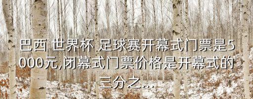 巴西 世界杯 足球賽開(kāi)幕式門(mén)票是5000元,閉幕式門(mén)票價(jià)格是開(kāi)幕式的三分之...