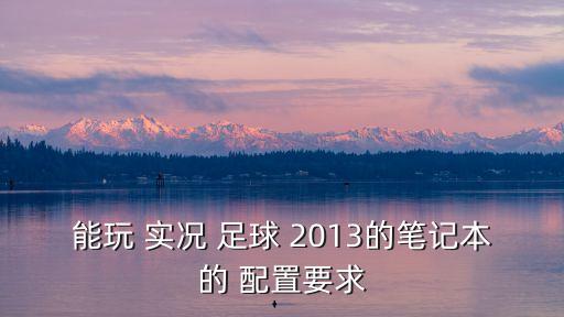能玩 實況 足球 2013的筆記本的 配置要求