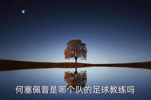 何塞佩普是哪個(gè)隊(duì)的足球教練嗎