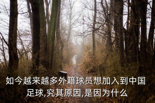 如今越來越多外籍球員想加入到中國 足球,究其原因,是因?yàn)槭裁? class=