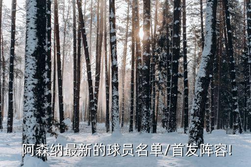 阿森納足球隊隊員號碼,英國阿森納足球隊