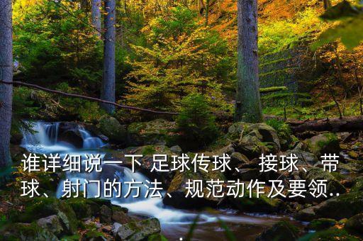 誰(shuí)詳細(xì)說(shuō)一下 足球傳球、 接球、帶球、射門(mén)的方法、規(guī)范動(dòng)作及要領(lǐng)...