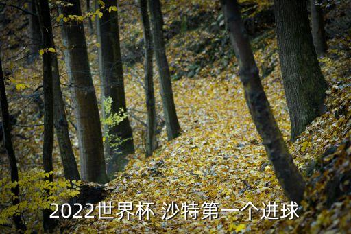 2022世界杯 沙特第一個(gè)進(jìn)球