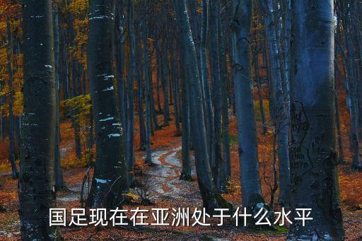 國(guó)足現(xiàn)在在亞洲處于什么水平