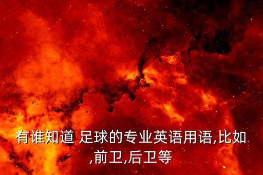 DEF足球位置,足球def是什么的縮寫(xiě)
