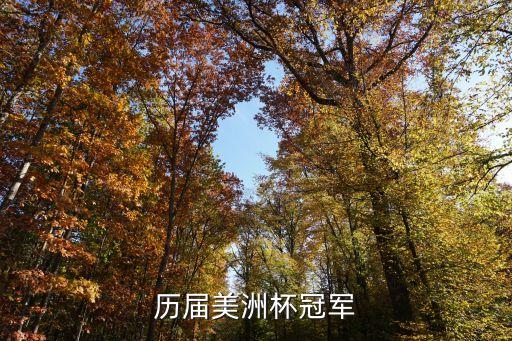 2017南美足球杯,南美解放者足球杯是紀念誰的