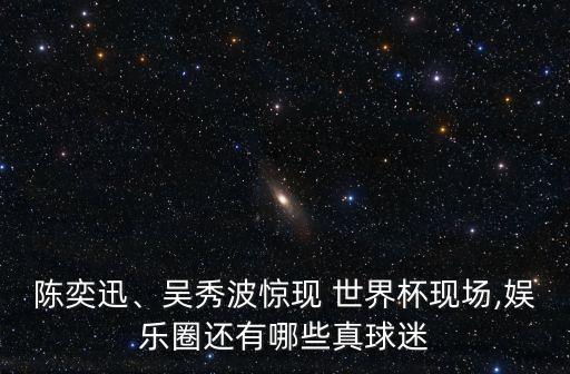 陳奕迅、吳秀波驚現(xiàn) 世界杯現(xiàn)場(chǎng),娛樂(lè)圈還有哪些真球迷
