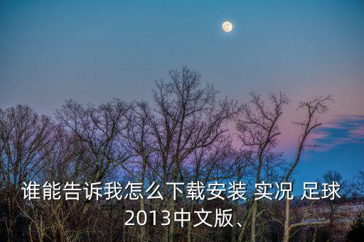 誰能告訴我怎么下載安裝 實況 足球 2013中文版、