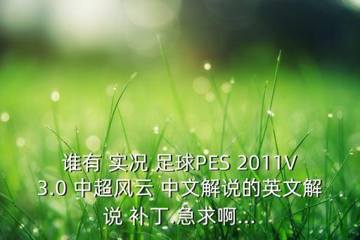 誰(shuí)有 實(shí)況 足球PES 2011V3.0 中超風(fēng)云 中文解說(shuō)的英文解說(shuō) 補(bǔ)丁.急求啊...