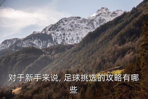 初學者足球硬點好還是軟點好