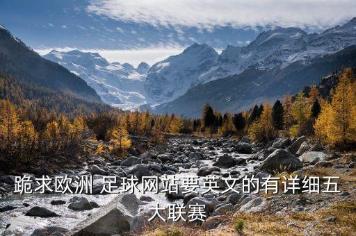 跪求歐洲 足球網站要英文的有詳細五大聯賽