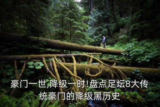 豪門(mén)一世,降級(jí)一時(shí)!盤(pán)點(diǎn)足壇8大傳統(tǒng)豪門(mén)的降級(jí)黑歷史