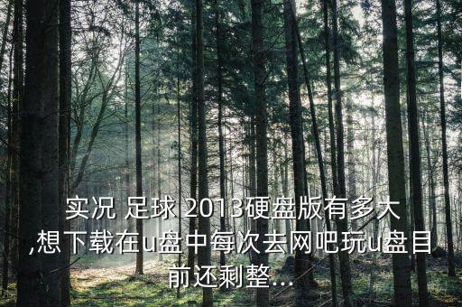  實況 足球 2013硬盤版有多大,想下載在u盤中每次去網(wǎng)吧玩u盤目前還剩整...