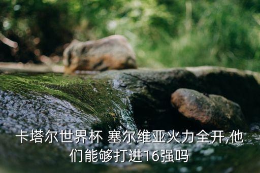 卡塔爾世界杯 塞爾維亞火力全開,他們能夠打進16強嗎
