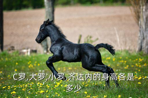 C羅,大羅,小羅,齊達內(nèi)的身高各是多少