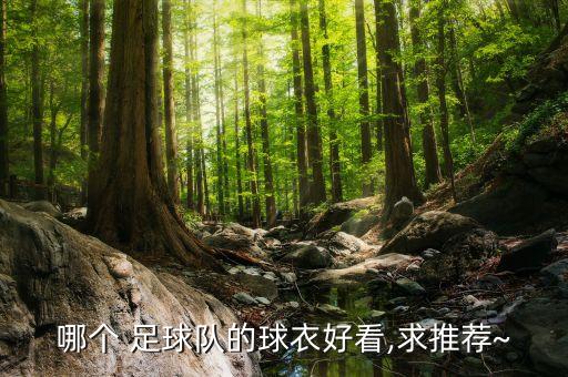 女生足球隊(duì)隊(duì)服,世界各國(guó)足球隊(duì)隊(duì)服