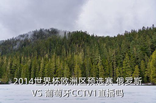2014世界杯歐洲區(qū)預選賽 俄羅斯VS 葡萄牙CCTV1直播嗎