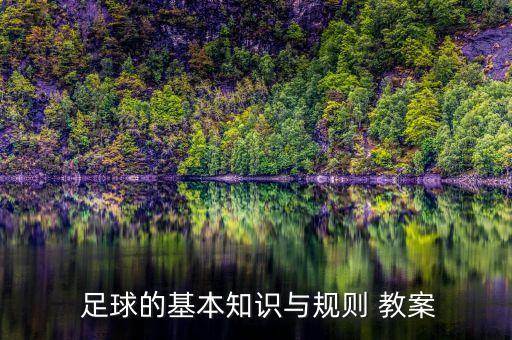  足球的基本知識(shí)與規(guī)則 教案