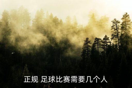 正規(guī) 足球比賽需要幾個(gè)人