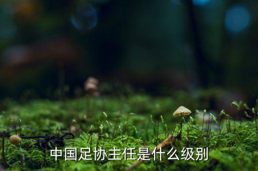 中國(guó)足協(xié)主任是什么級(jí)別