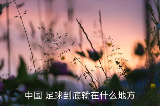 中國 足球到底輸在什么地方