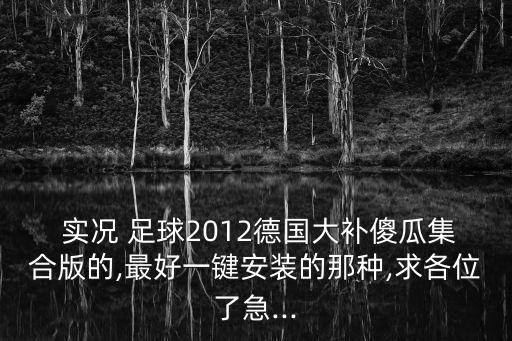 實(shí)況足球 md