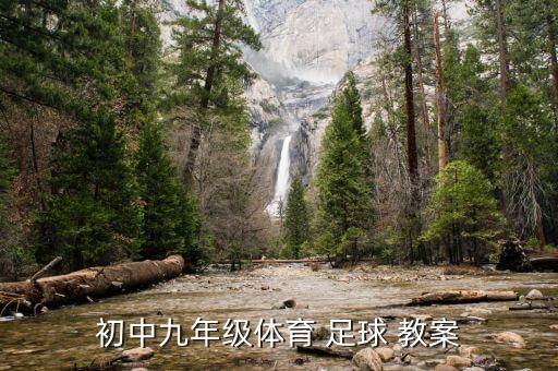 初中九年級(jí)體育 足球 教案