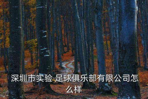  深圳市實驗 足球俱樂部有限公司怎么樣