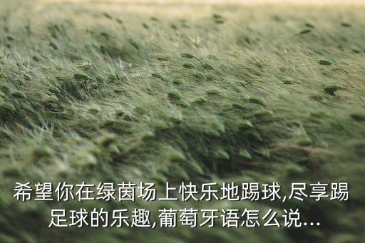 希望你在綠茵場(chǎng)上快樂地踢球,盡享踢 足球的樂趣,葡萄牙語(yǔ)怎么說...