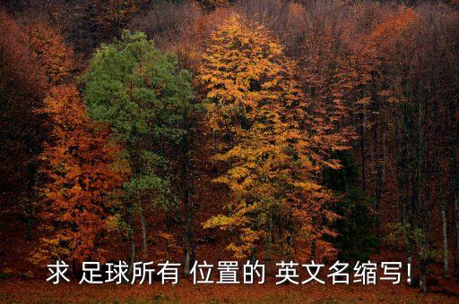 足球運(yùn)動(dòng)員位置英文簡(jiǎn)稱,你最喜歡的足球運(yùn)動(dòng)員是誰英文
