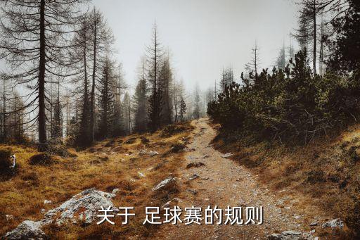 關于 足球賽的規(guī)則