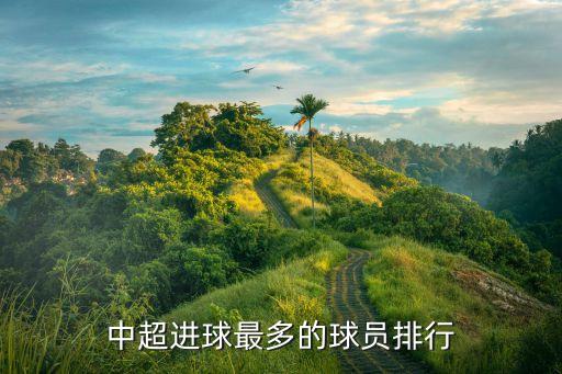 中超進球最多的球員排行