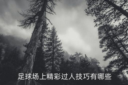  足球場(chǎng)上精彩過(guò)人技巧有哪些