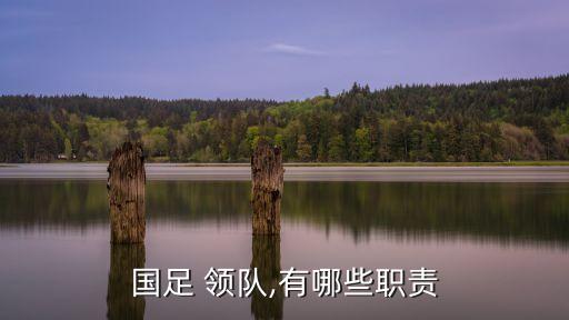 國(guó)足 領(lǐng)隊(duì),有哪些職責(zé)