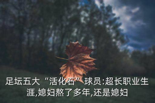 足球中國(guó)養(yǎng)老,足球養(yǎng)老聯(lián)賽