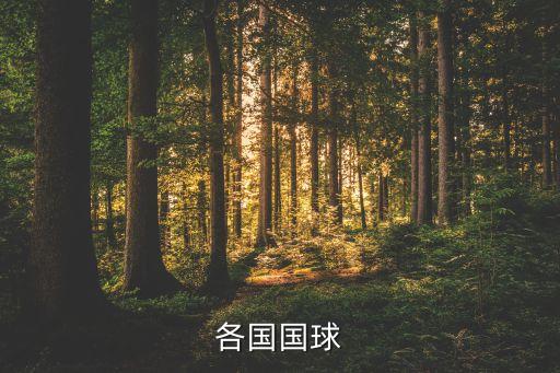 伊朗土耳其足球風(fēng)格,土耳其足球風(fēng)格特點