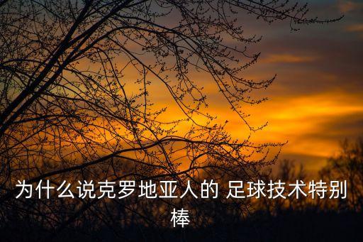 為什么說克羅地亞人的 足球技術(shù)特別棒