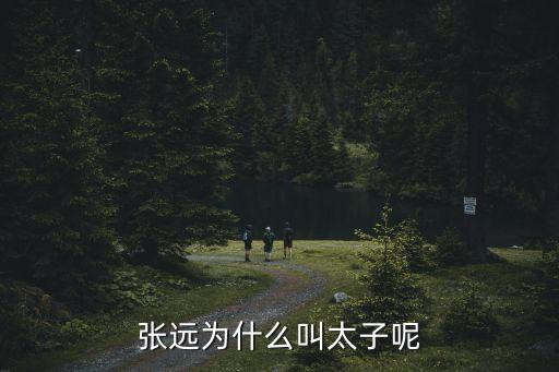 張遠為什么叫太子呢