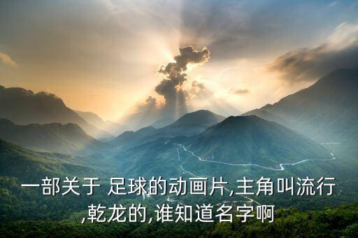 一部關(guān)于 足球的動(dòng)畫片,主角叫流行,乾龍的,誰知道名字啊