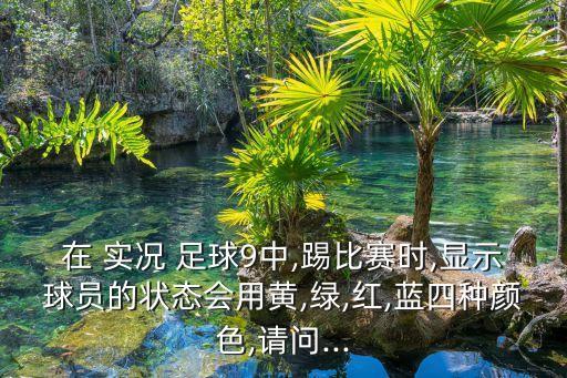 實況19足球顏色,實況足球顏色有什么區(qū)別